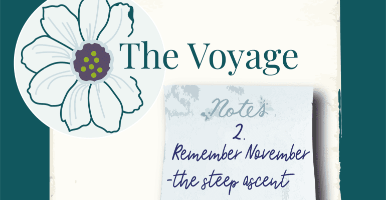 Remember November